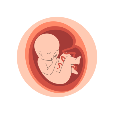 Neurological Development for Baby